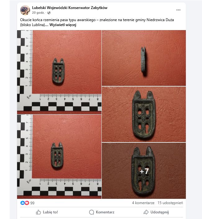 Odkrycie pod Lublinem