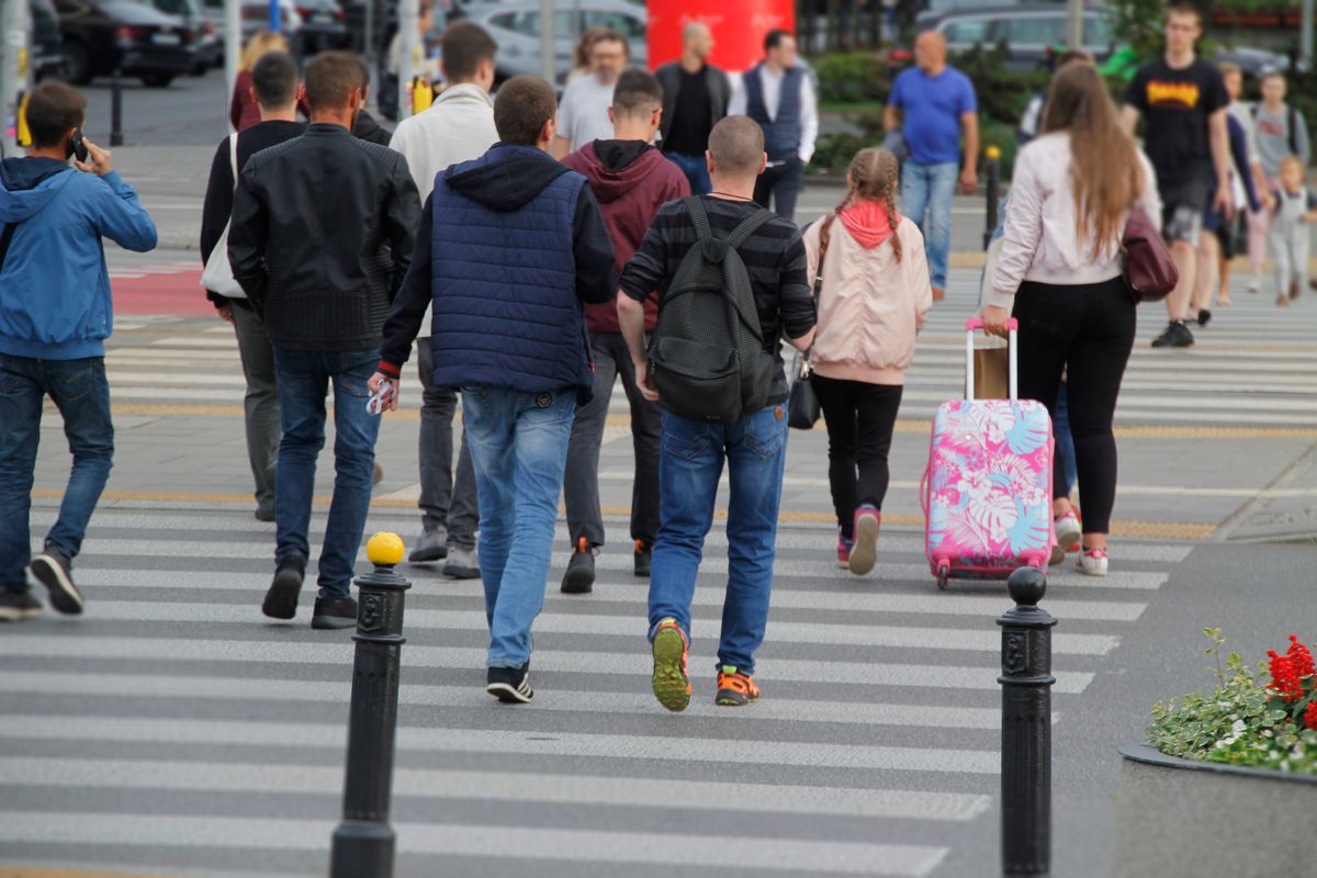 Основні правила для пішоходів у Польщі