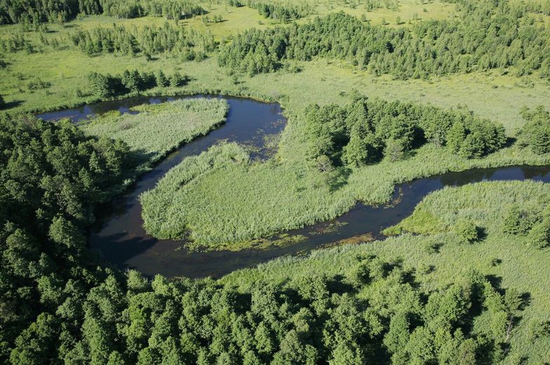 Znów głośno wokół Doliny Rospudy. Sprawą ma zająć się prokuratura
