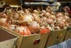 Wysłali cebulę do Polski. Zarobili 184 mln zł. Skąd pochodzi?