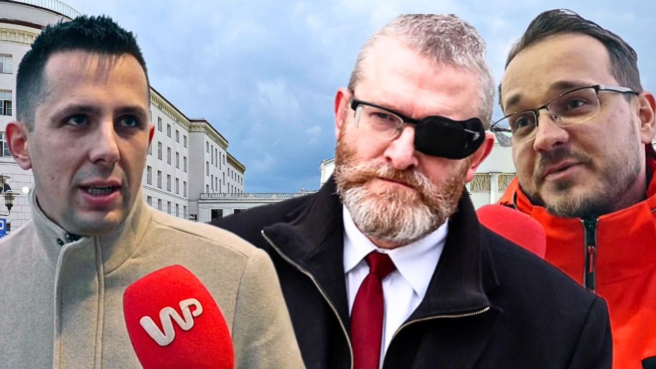 Partia Brauna w Sejmie? Reakcje Polaków mówią wszystko