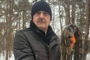 Znaleźli go w Otwocku. Martwy gad miał ponad 2 metry długości