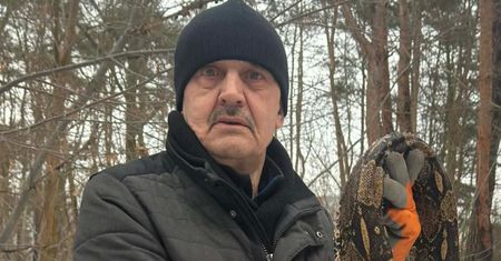Znaleźli go w Otwocku. Martwy gad miał ponad 2 metry długości