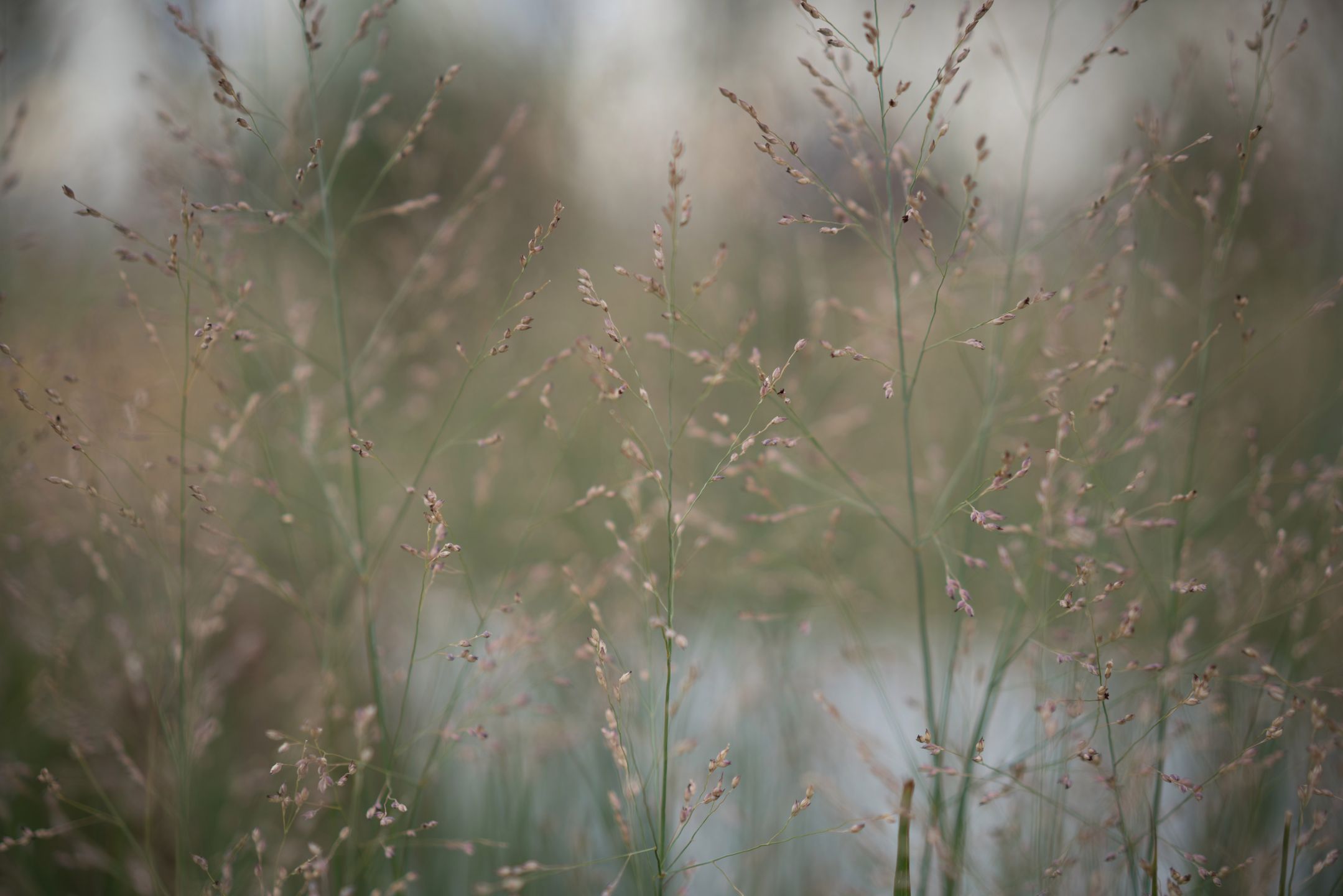Sony A7R Mark II - pierwszy, bezkompromisowy bezlusterkowiec na rynku [test] 160
