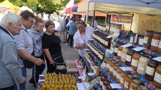 Kalisz: Za nami XIV Kaliskie Miodobranie