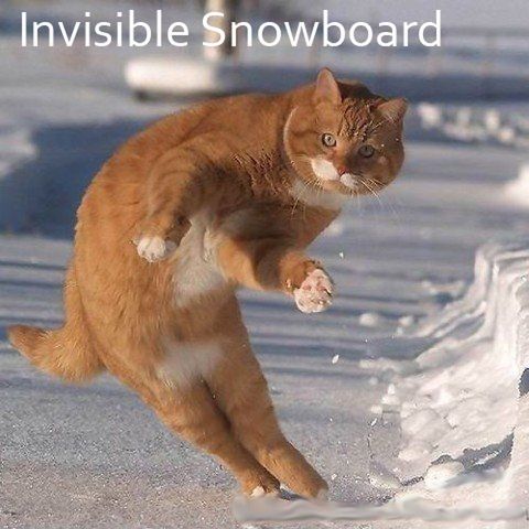 Dodatki do Shaun White Snowboarding