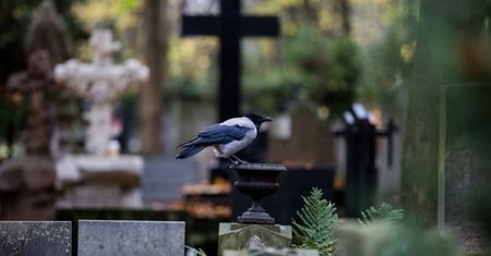 Tak było w ubiegłym roku! Prawie 68 tys. zgonów więcej niż w 2019 roku