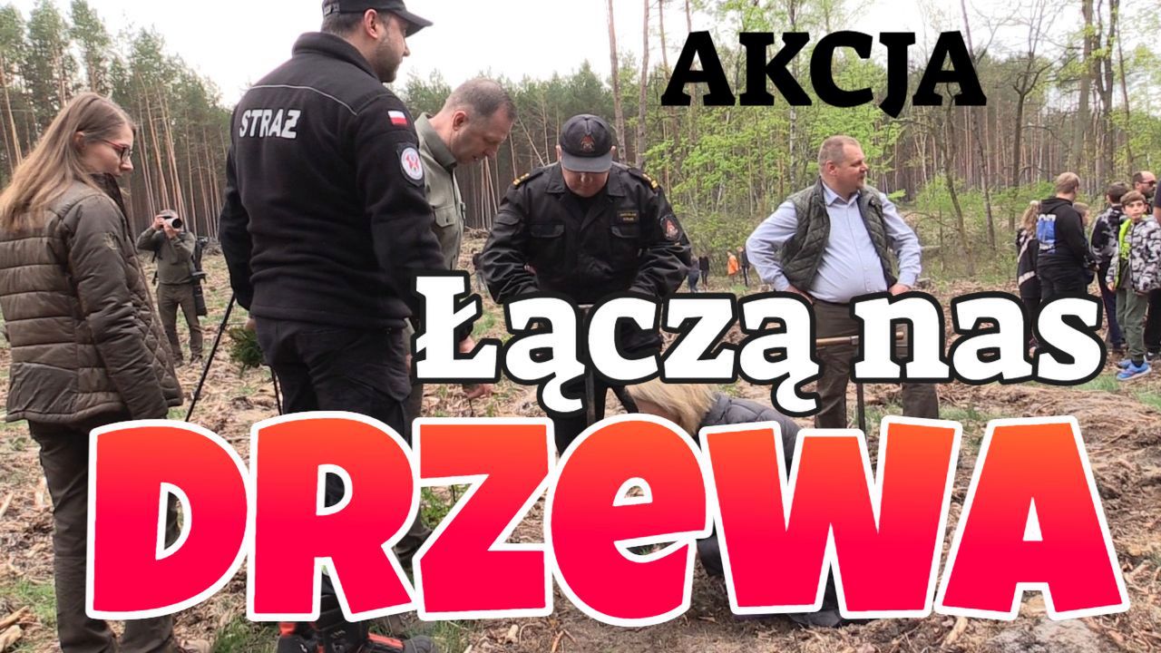 Łączą nas drzewa