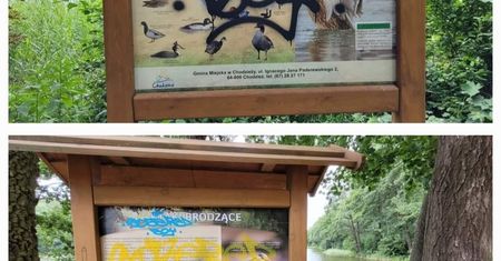 12-latek uszkodził tablice w Chodzieży