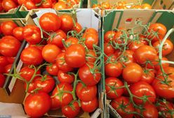 Przebadali pomidory malinowe z dyskontów. To w nich wykryli