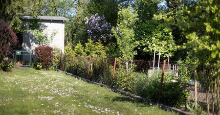 Nawet 500 zł kary. Sąsiad z działki może donieść