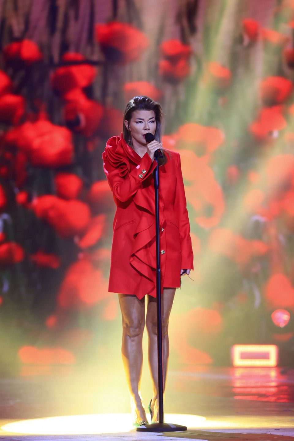 Koncert TVP "Murem za polskim mundurem", Edyta Górniak 