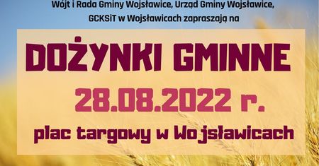 Dożynki Gminy Wojsławice 2022. Gwiazda wieczoru zespół Shantel