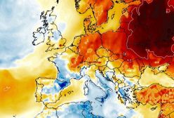 Pogoda wariuje. Nagła zmiana. Temperatury poszybują w górę