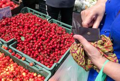 100 zł za kilogram czereśni. Oto skąd pochodzą
