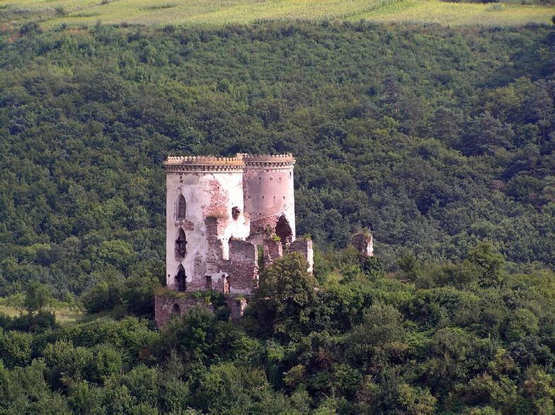 Polacy za 40 mln zł chcą ratować zamek na Ukrainie