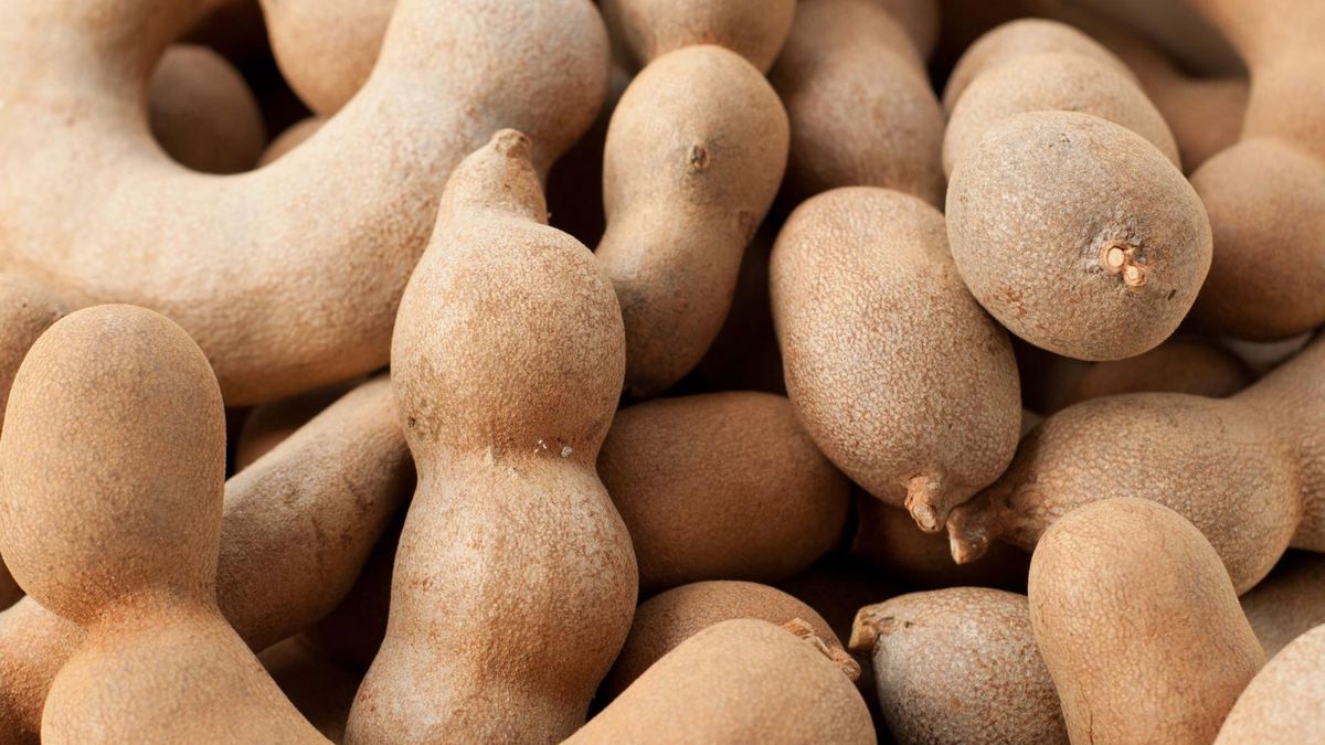 Właściwości tamaryndu, czyli owocu indyjskiego drzewa, które można kupić w Polsce 