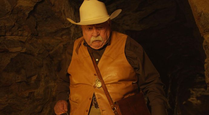 Timber, pies-odkrywca