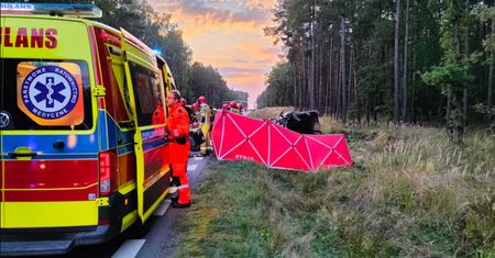 Koszmarny wypadek koło Leszna. Na drogę wbiegł jeleń