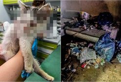 19-latka obiecywała, że zaopiekuje się kotkami. Zgotowała im straszny los