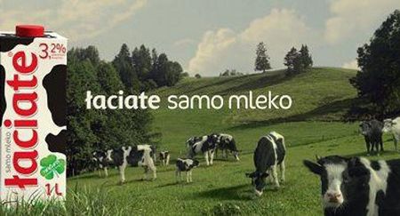 Łaciate kolejny raz promuje się hasłem  "Białe po mamie i zdrowe po byku"