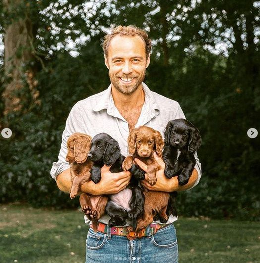 Brat Kate Middleton, James, z psami z hodowli cocker spanieli