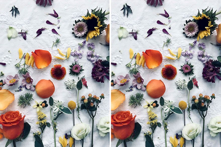 Znajdź różnice na obrazkach. Ten artysta dobrze je ukrył 4