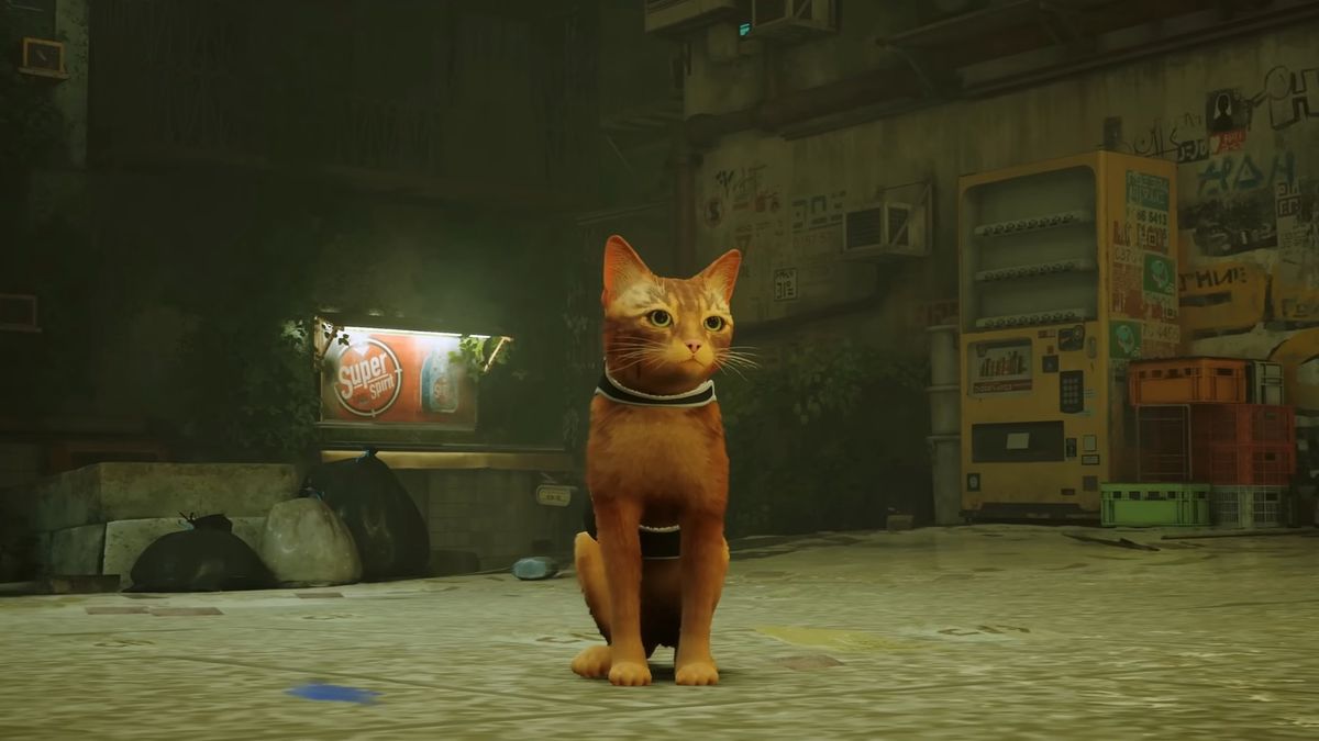 Dźwięki do Stray to efekt pracy prawdziwej kotki Lali.