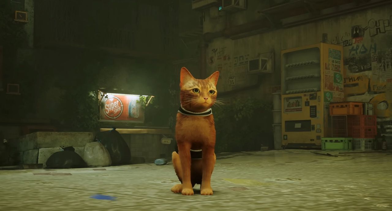 From leading characters to cuddly companions: Unleashing the full potential of cats in video games