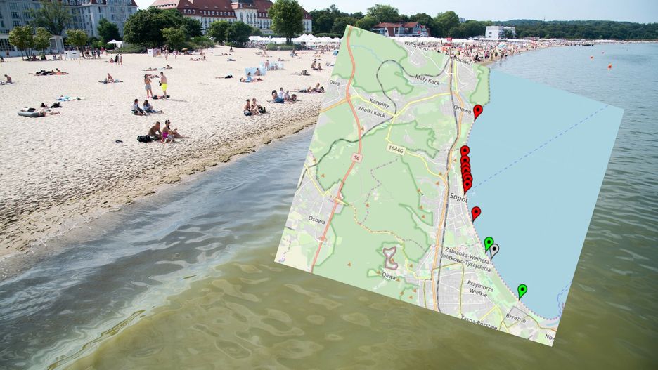 Sinice w Bałtyku. Sopot wyłączony z kąpielsik 