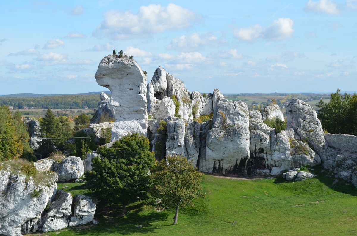 Ostańce - wapienne skały w Jurze Krakowsko-Częstochowskiej 