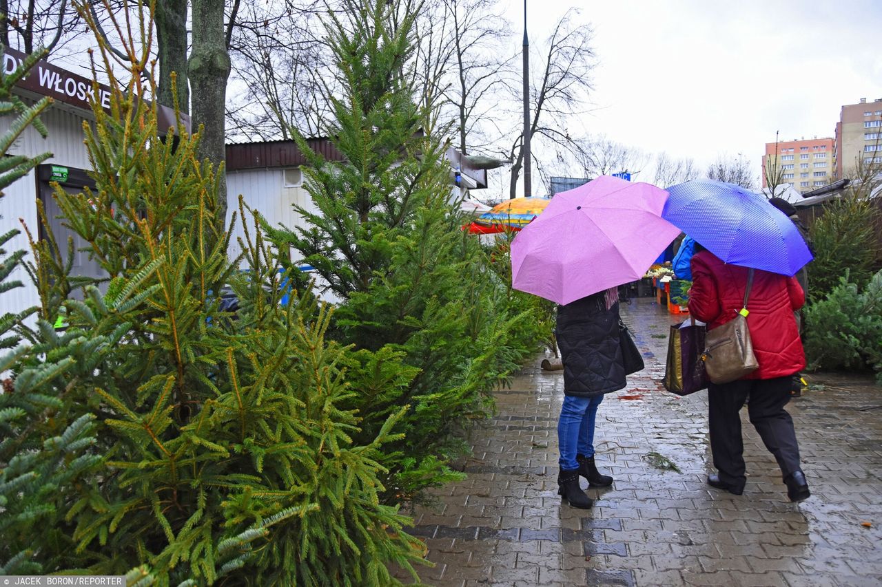 Totalna zmiana w prognozach. Nawet 10 stopni w święta