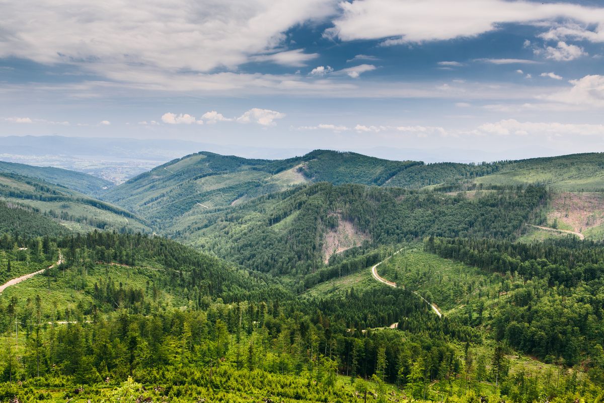 Beskidy zachwycają na każdym kroku