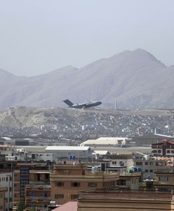 Ewakuowano 183 psy i koty. Pracownicy schroniska zostali w Afganistanie