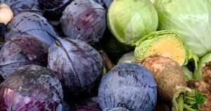 Jaka jest prawidłowa odpowiedź?