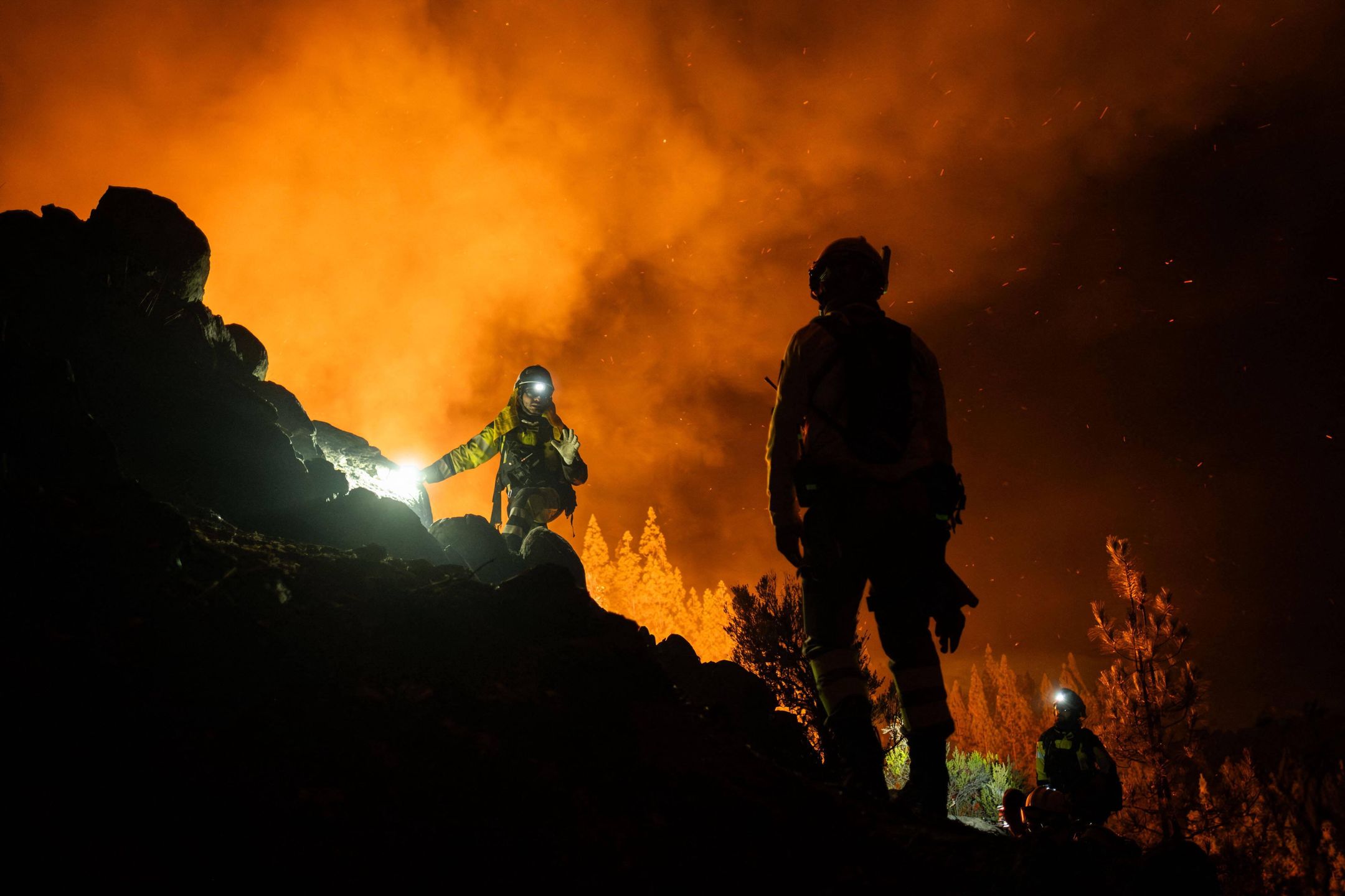 Forest fire continues in Spanish Canary Islands: more than 1,800 hectares affected and 150 people evacuate
TENERIFE, CANARY ISLAND - AUGUST 16: Agents of EIRIF, a unit in charge of the Government of the Canary Islands, work at night to extinguish the forest fire declared on the island of Tenerife, Canary Islands on August 16, 2023. The Tenerife fire continues out of control: more than 1,800 hectares affected and 150 people evacuated. Andres Gutierrez / Anadolu Agency/ABACAPRESS.COM 
Dostawca: PAP/Abaca
AA/ABACA
Environment, Firefighter, Firefighters, Fireman, Firemen, Nature