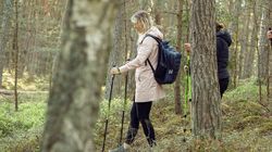 10 tys. kroków dziennie to mit? Mózg potrzebuje znacznie mniej 