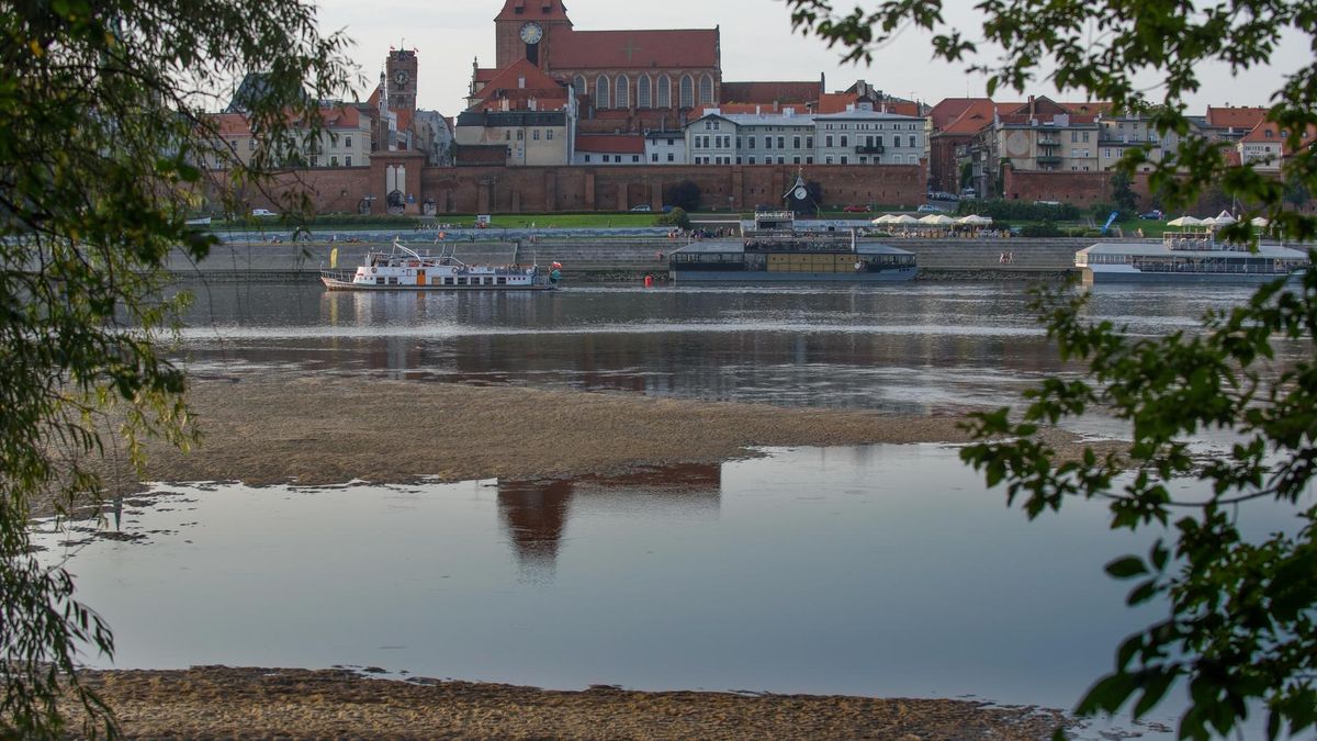 Zdaniem informatora Rzeczpospolitej projekt jest wart miliard dolarów.