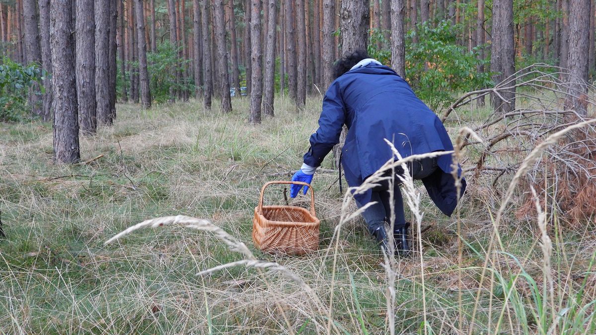 Zdjęcie ilustracyjne