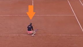 Magda Linette tylko spojrzała. Była już bezradna [WIDEO]