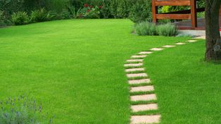 Zielona rewolucja w ogrodzie. Polska innowacja ułatwia zakładanie trawnika