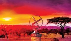 Lucinda Riley wyprzedza Remigiusza Mroza na liście najpopularniejszych książek w Polsce