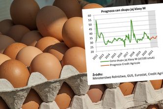 Produkcja mniej opłacalna. Ekonomiści wzięli pod lupę ceny jaj