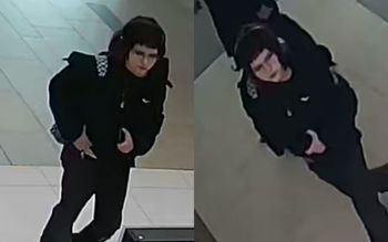 Poznań. Policja szuka kobiety ze zdjęć. W tle karygodny czyn