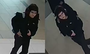 Poznań. Policja szuka kobiety ze zdjęć. W tle karygodny czyn