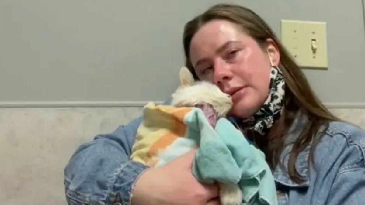 Właścicielka kotki zamieściła poruszające nagranie wideo