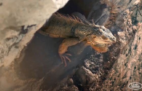 Land Rover z nową reklamą, w której nie ma samochodu (wideo)