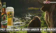 Marka Żubr promuje się hasłem "Przy Żubrze nawet jezioro łabędzie da się obejrzeć"
