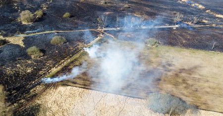 Ponad 500 pożarów traw w ciągu doby. Jedna osoba została ranna