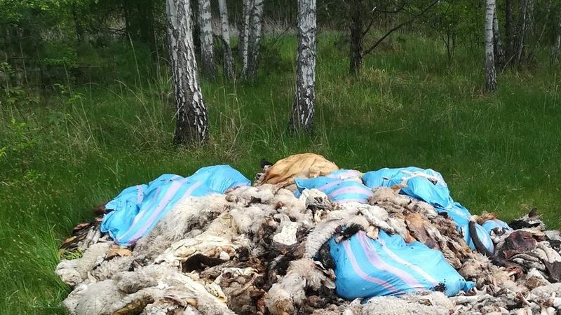 Słoneczna majowa niedziela 10 maja przyniosła kolejne wstrząsające odkrycie